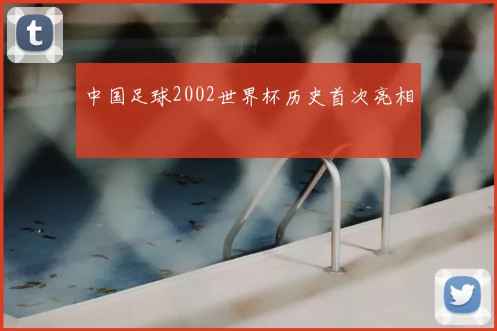 中国足球2002世界杯历史首次亮相