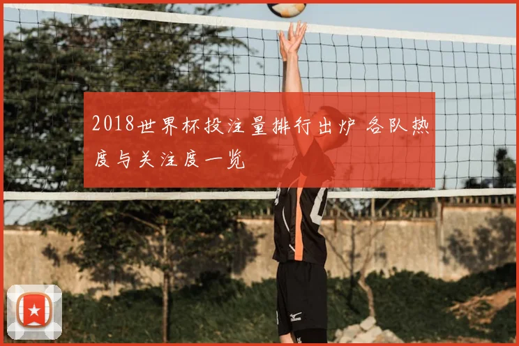 2018世界杯投注量排行出炉 各队热度与关注度一览