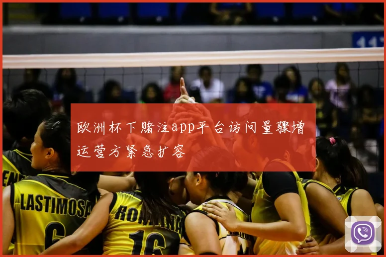 欧洲杯下赌注app平台访问量骤增 运营方紧急扩容
